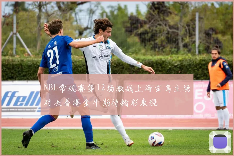NBL常规赛第12场激战上海玄鸟主场对决香港金牛期待精彩表现