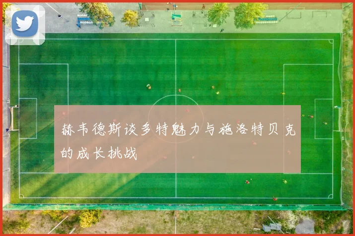 赫韦德斯谈多特魅力与施洛特贝克的成长挑战