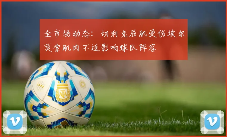 全市场动态：切利克屈肌受伤埃尔莫索肌肉不适影响球队阵容