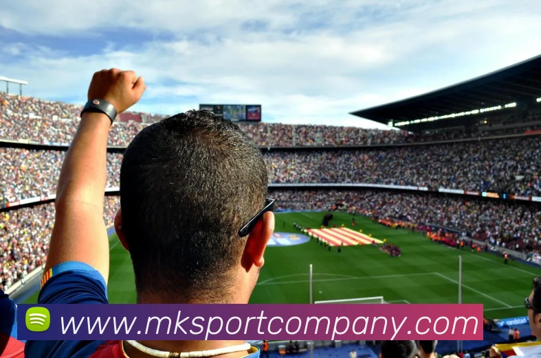 MK体育APP 高清赛事图